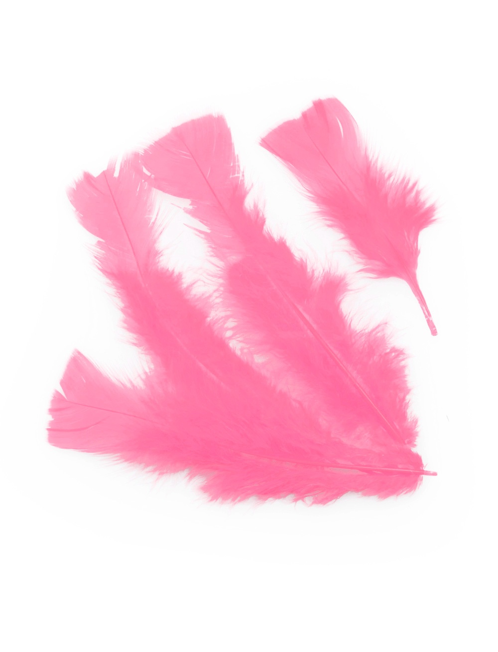 Federn 100er-Pack pink