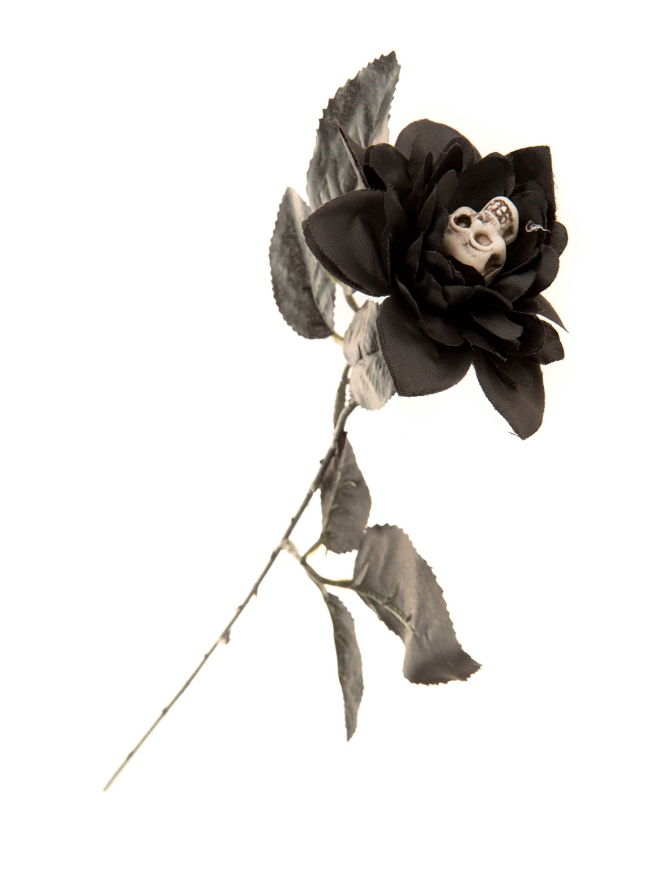Chrysantheme schwarz mit Totenkopf