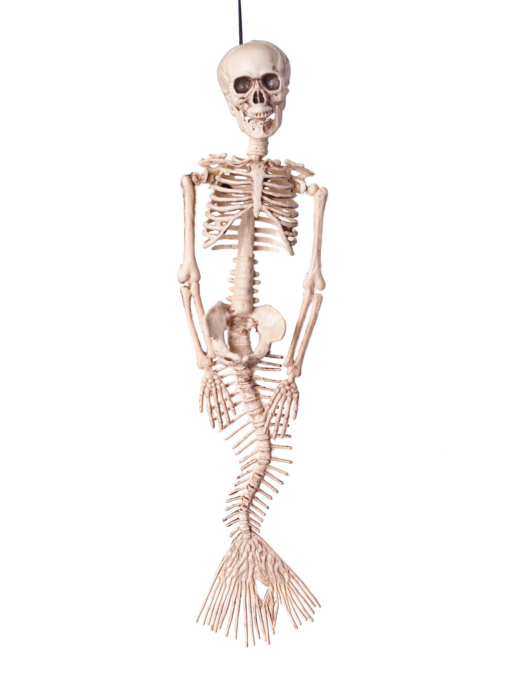 Skelett Meerjungfrau zum Aufhängen