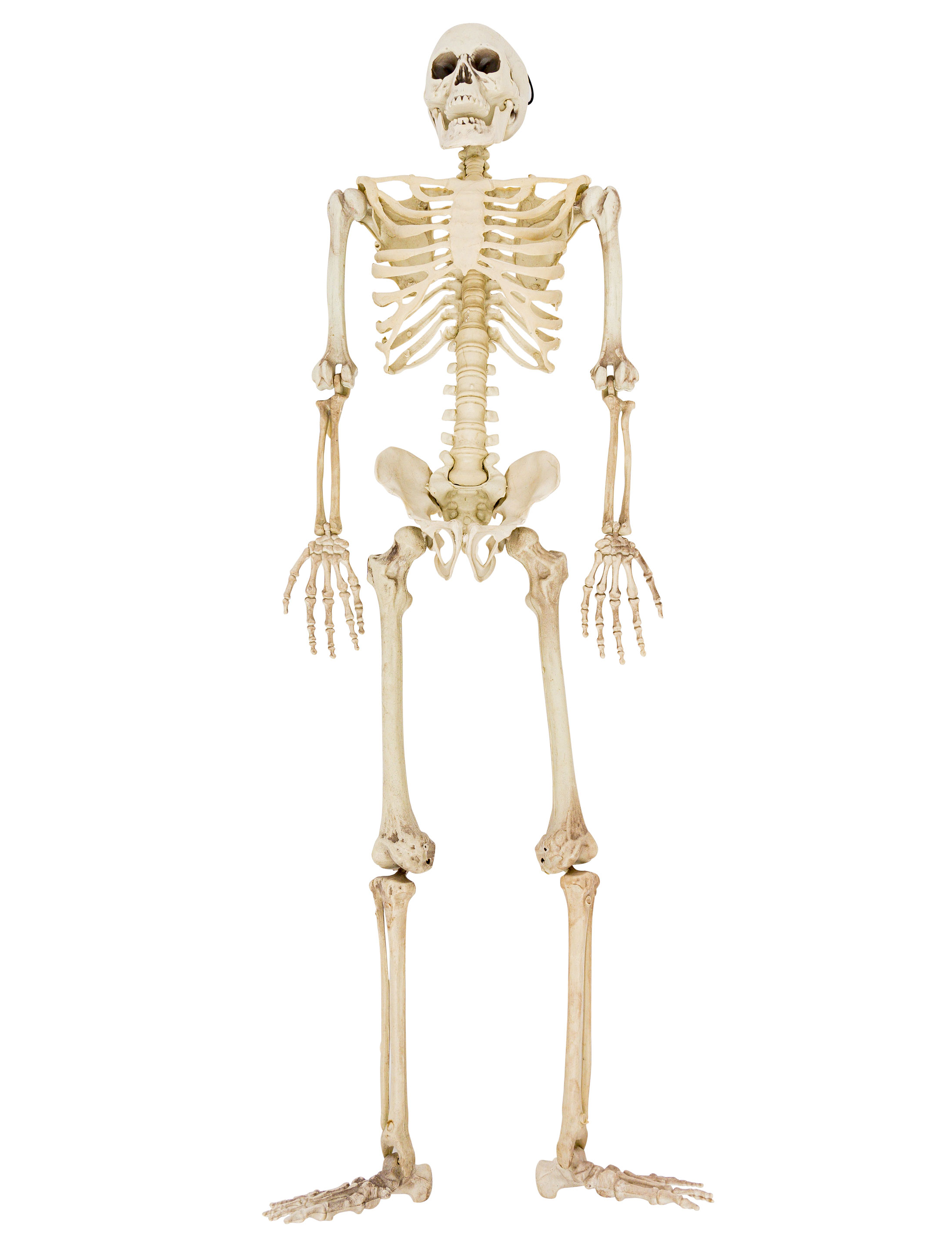 Hängendes Skelett 95cm