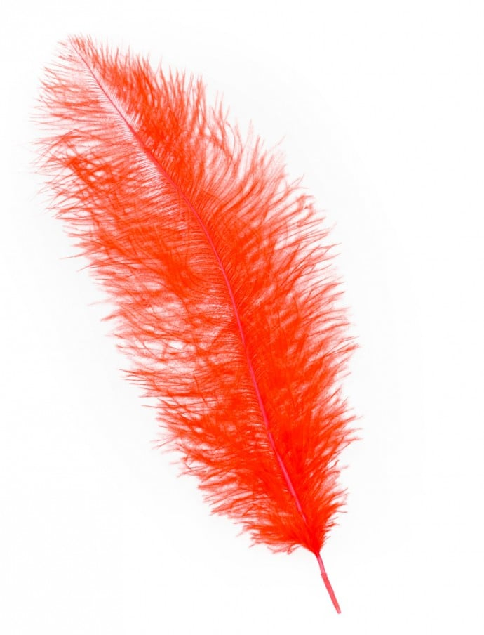 rot