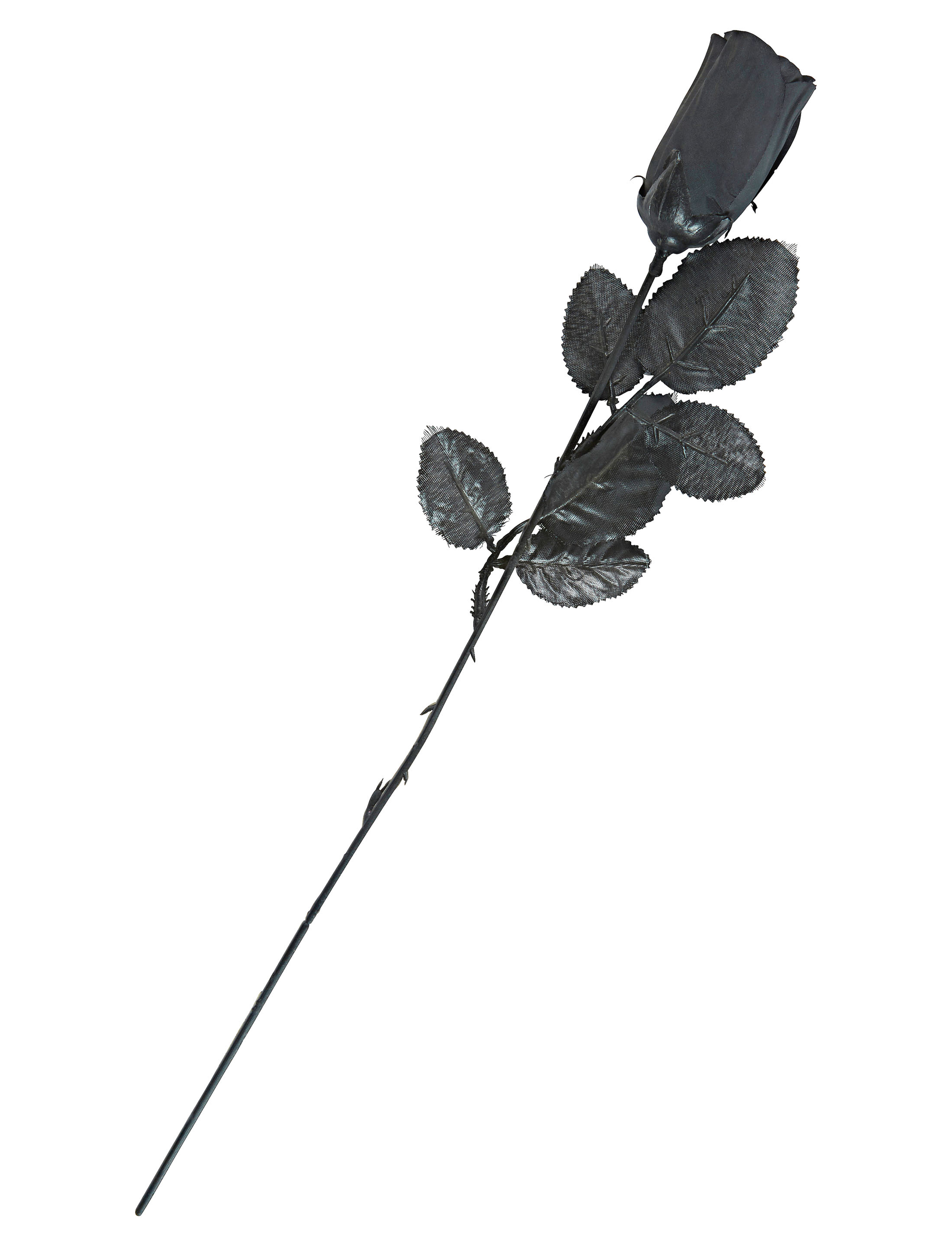Rose schwarz