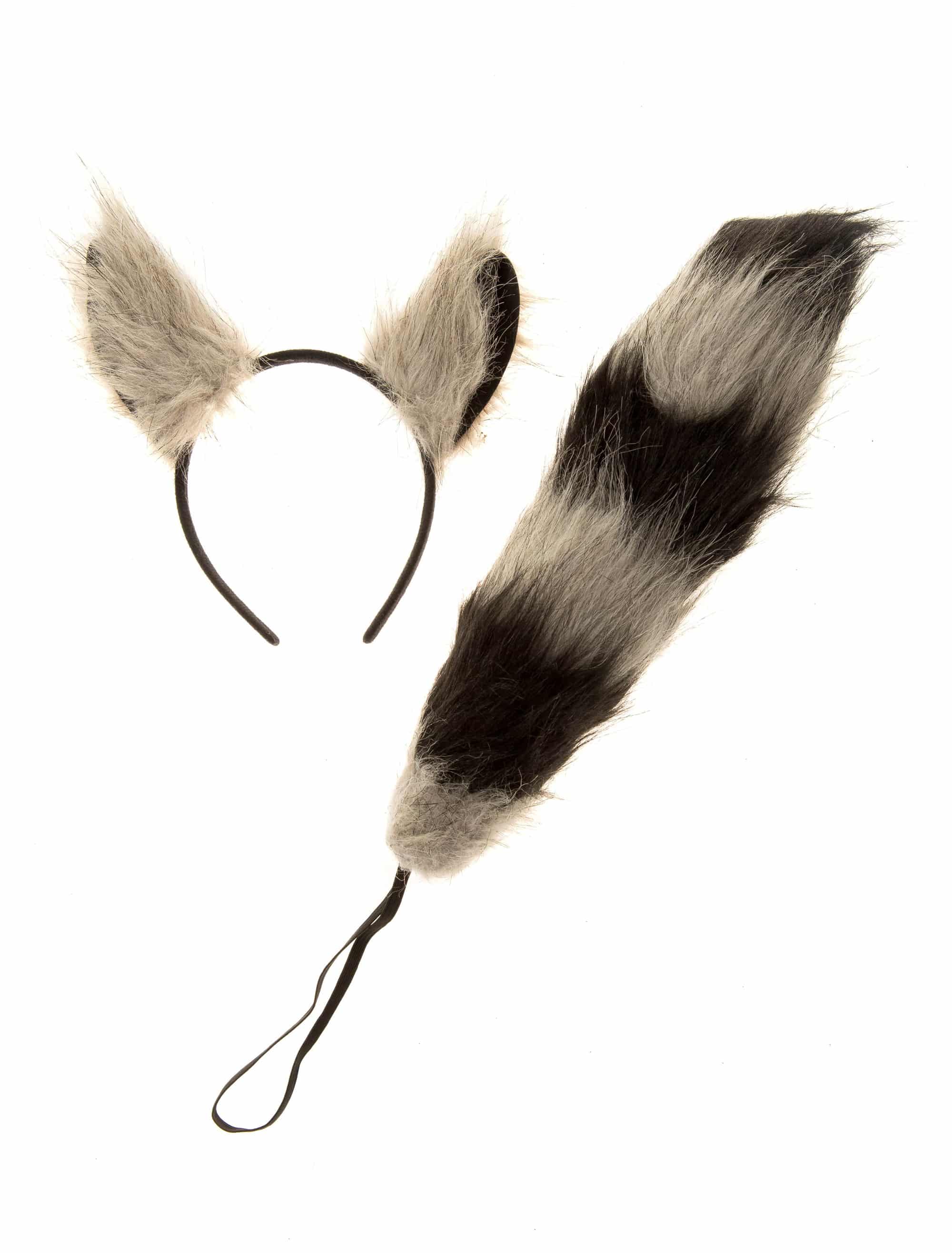 Waschbär Set 2-tlg.