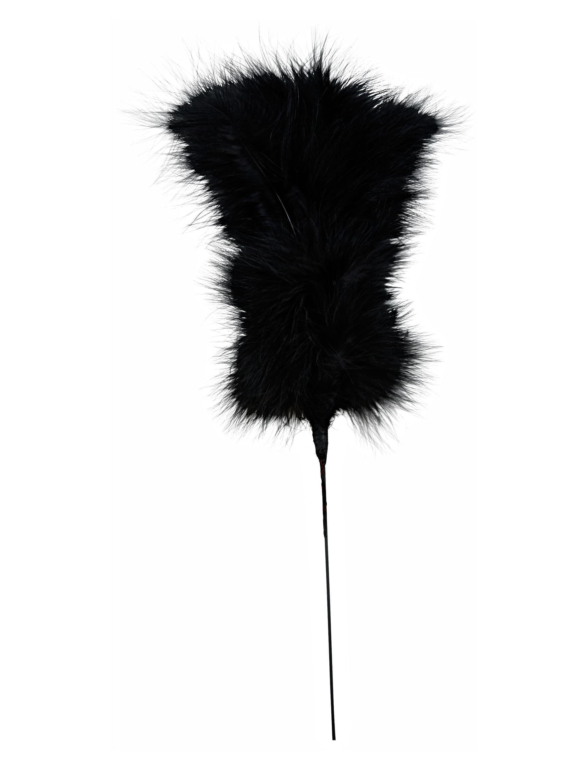 schwarz