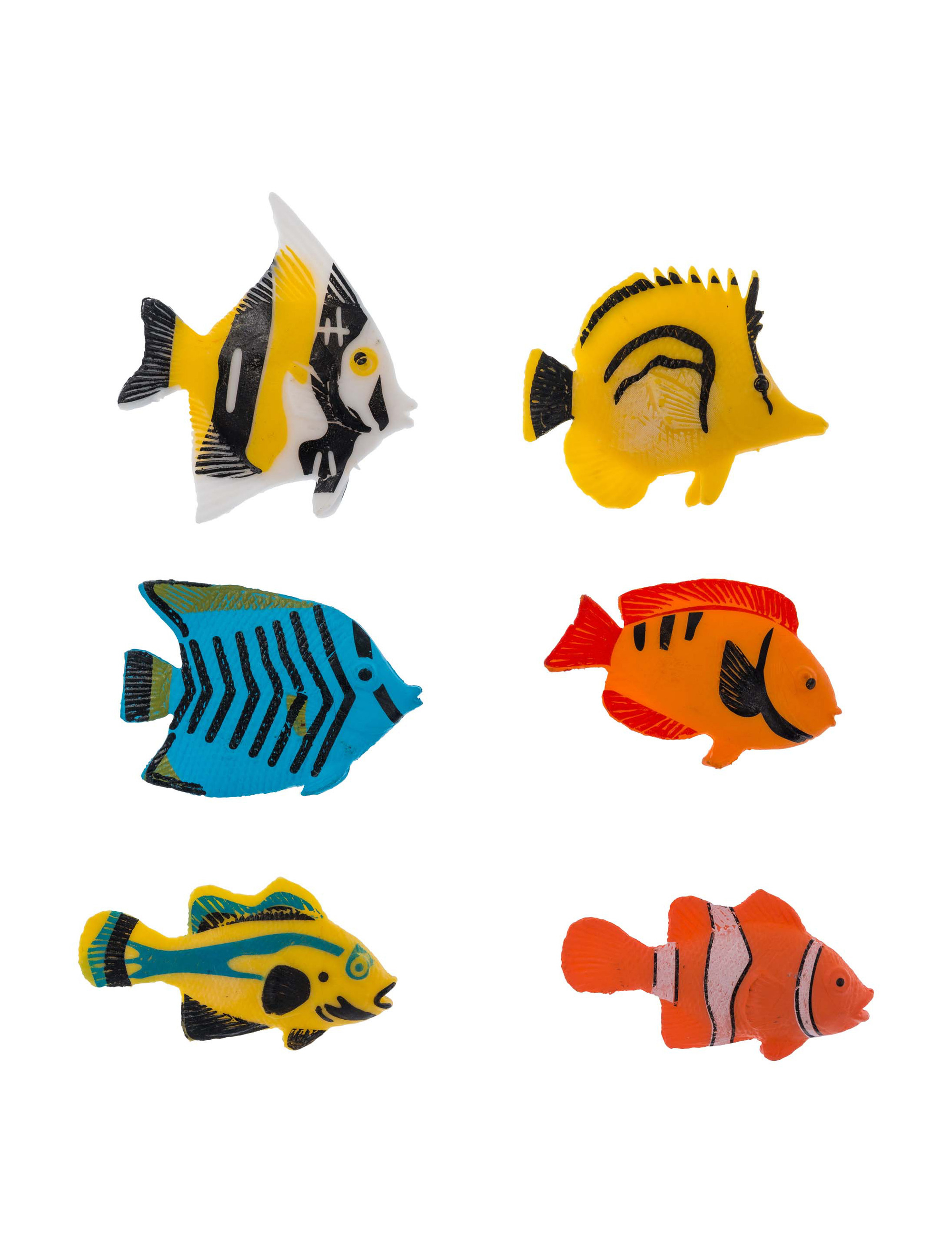Tropenfische 6 Stk. bunt