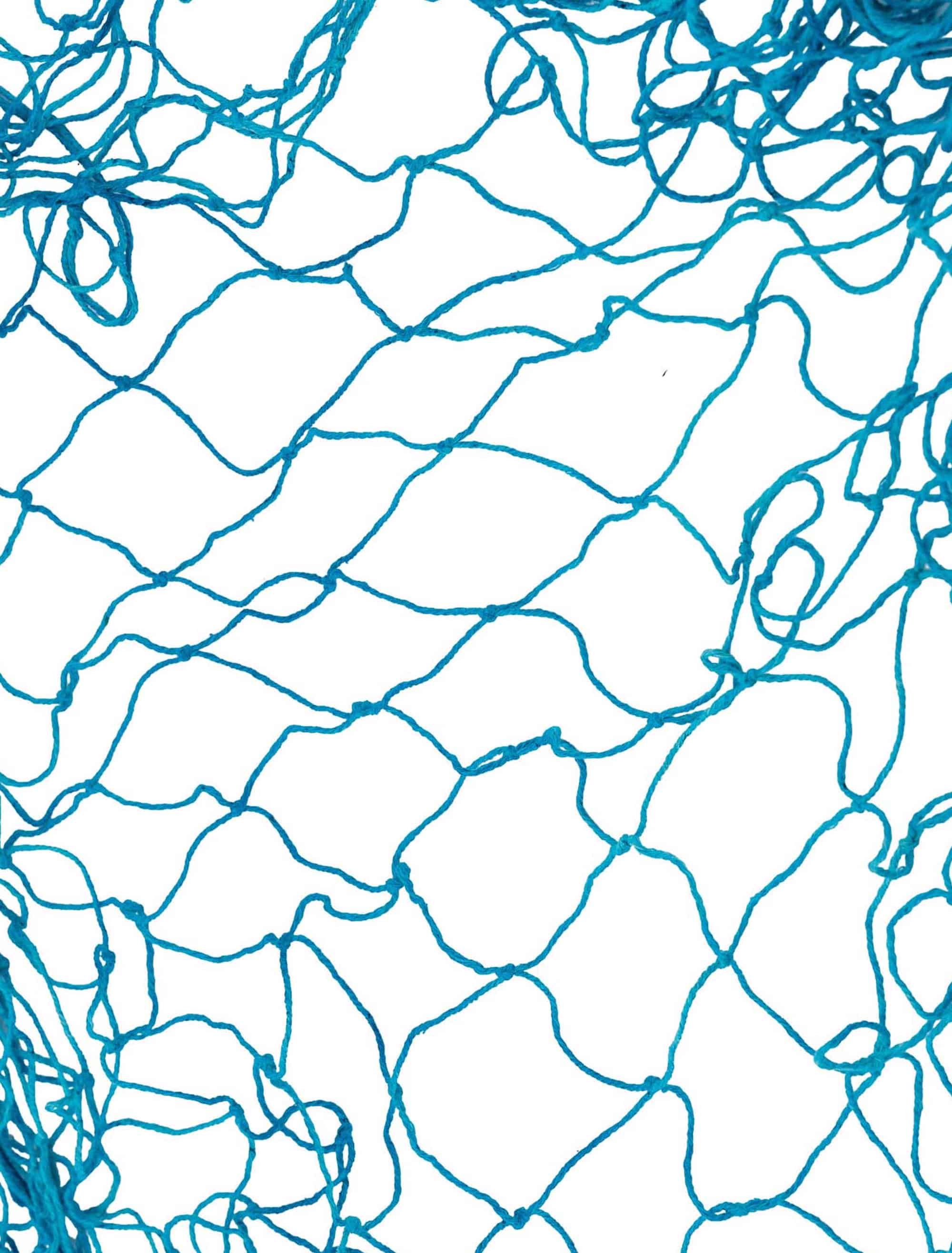 Fischernetz 2 x 1m blau