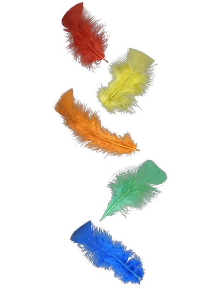 Federn 100er-Pack bunt
