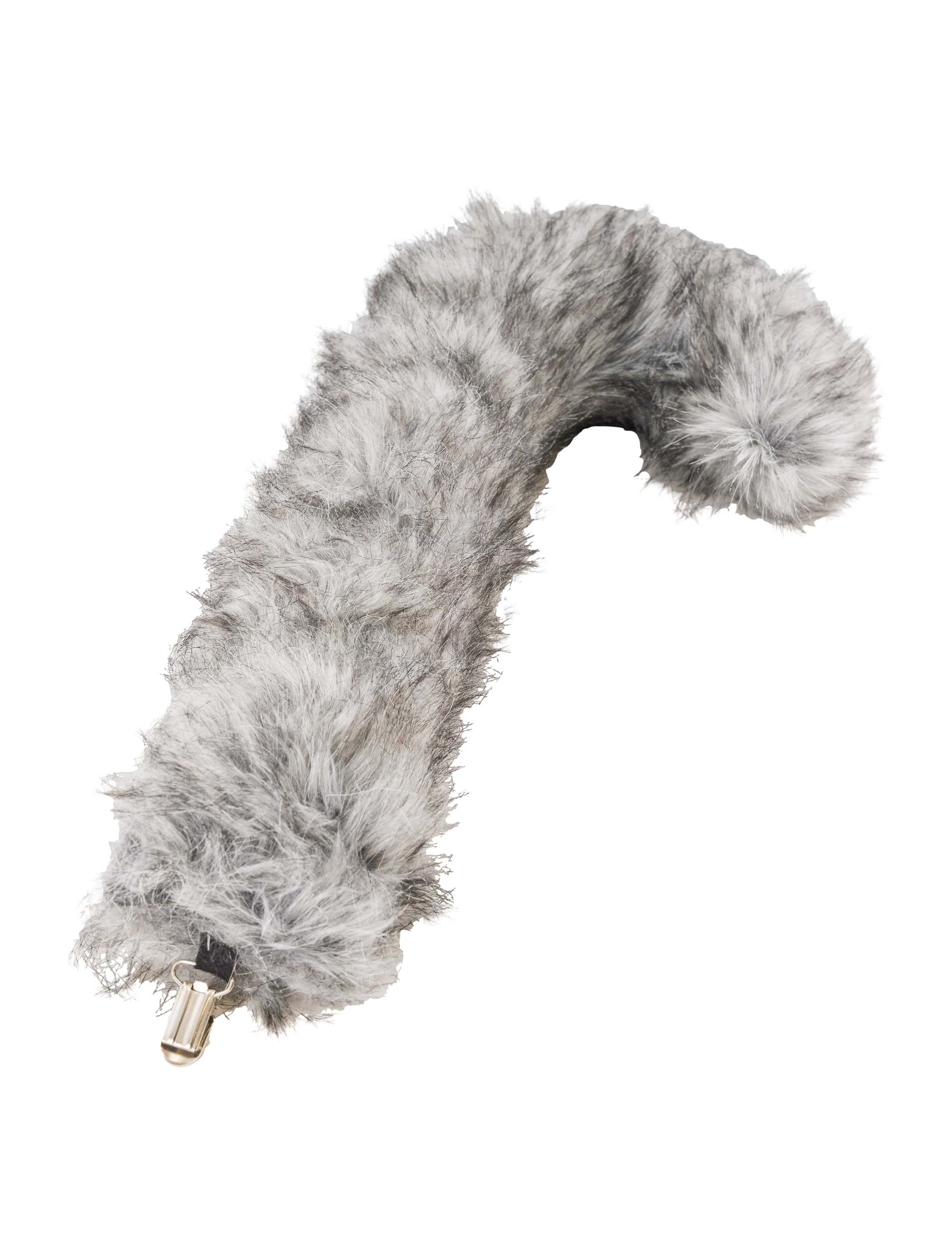 Schwanz Wolf grau