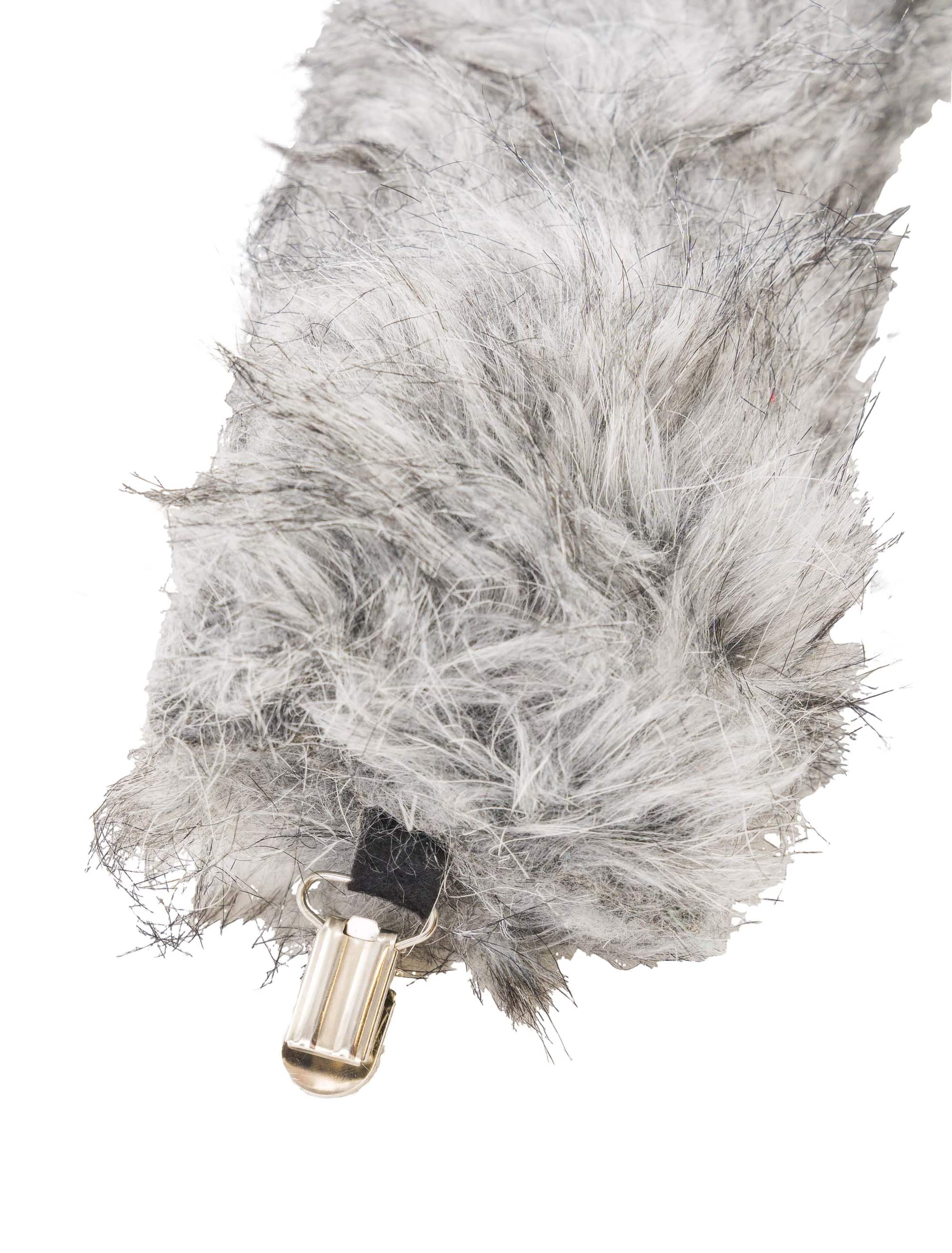 Schwanz Wolf grau