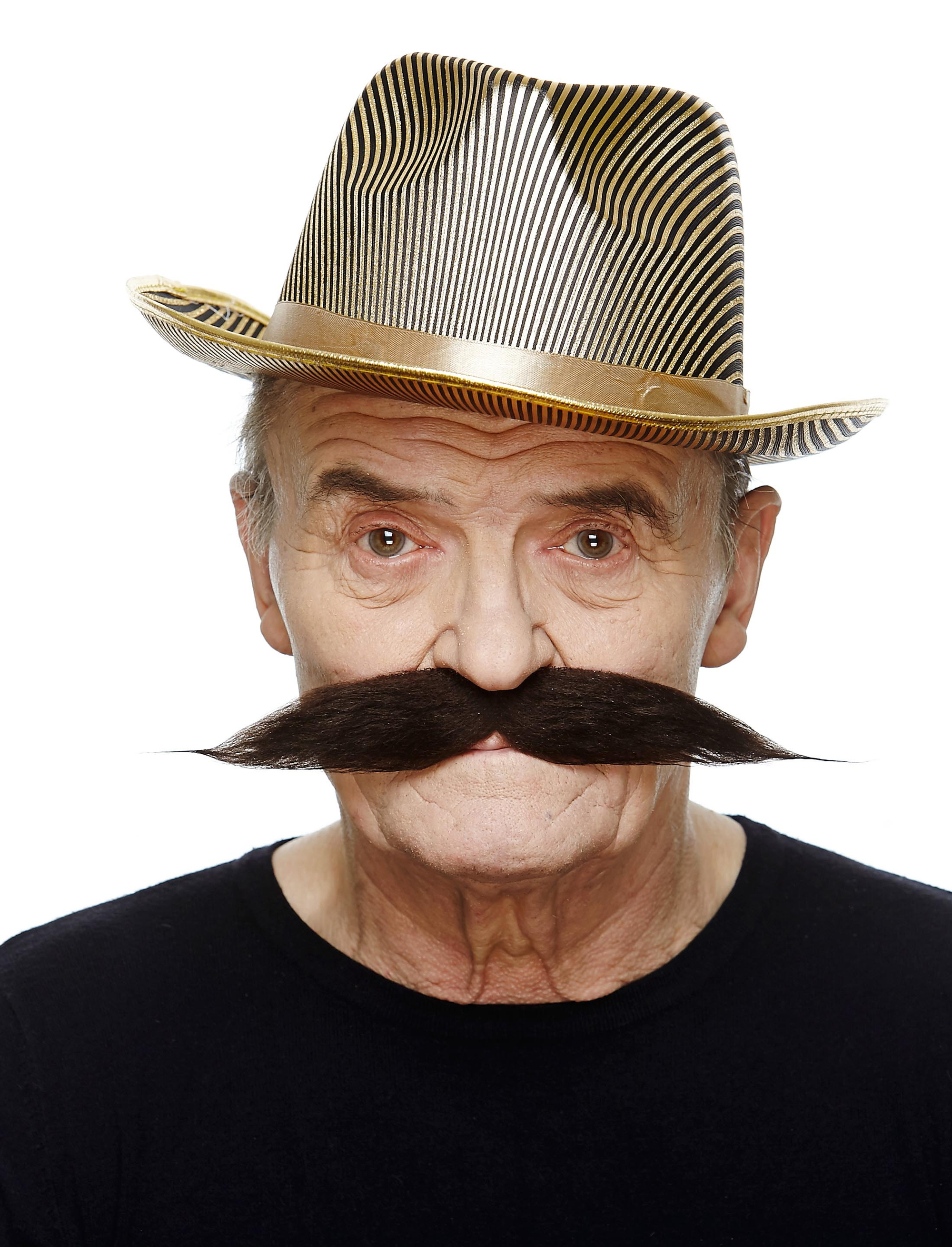 Bart Musiker braun