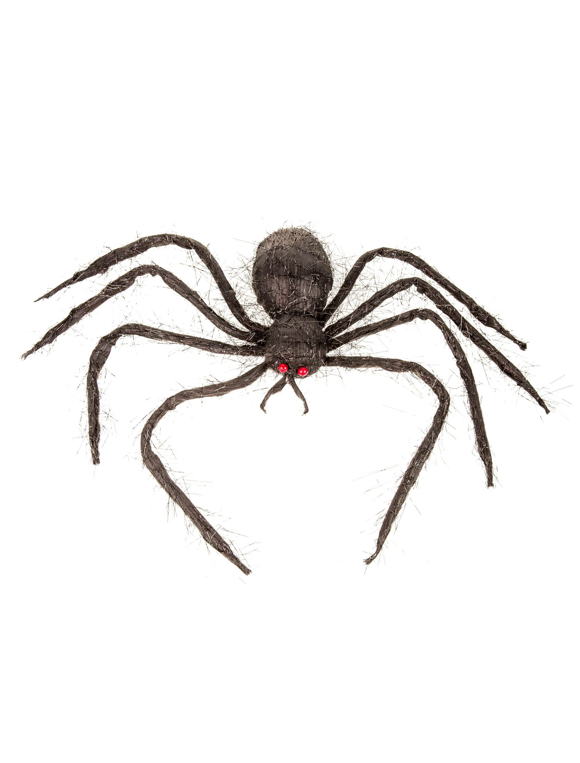 Spinne 50cm