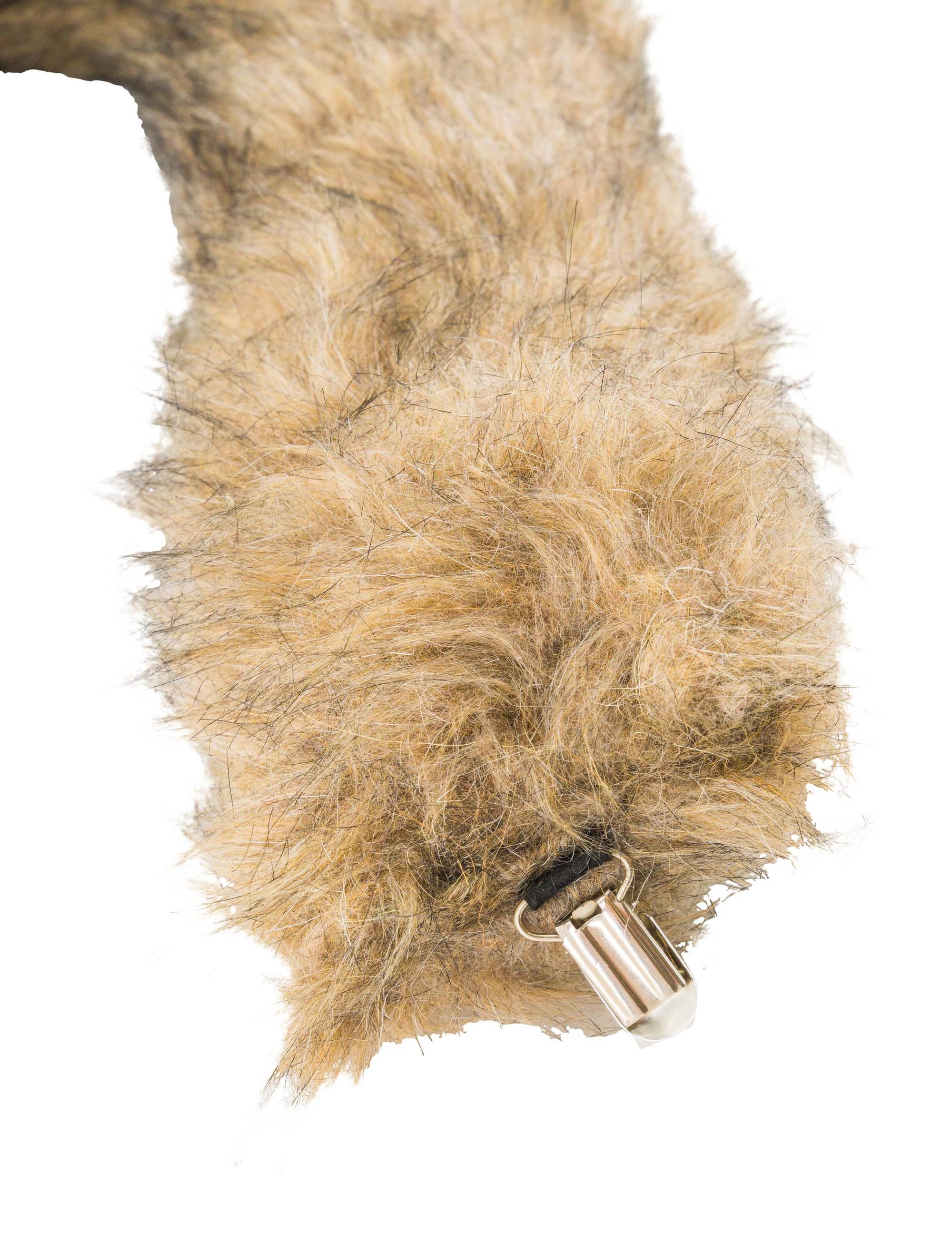 Schwanz Wolf braun