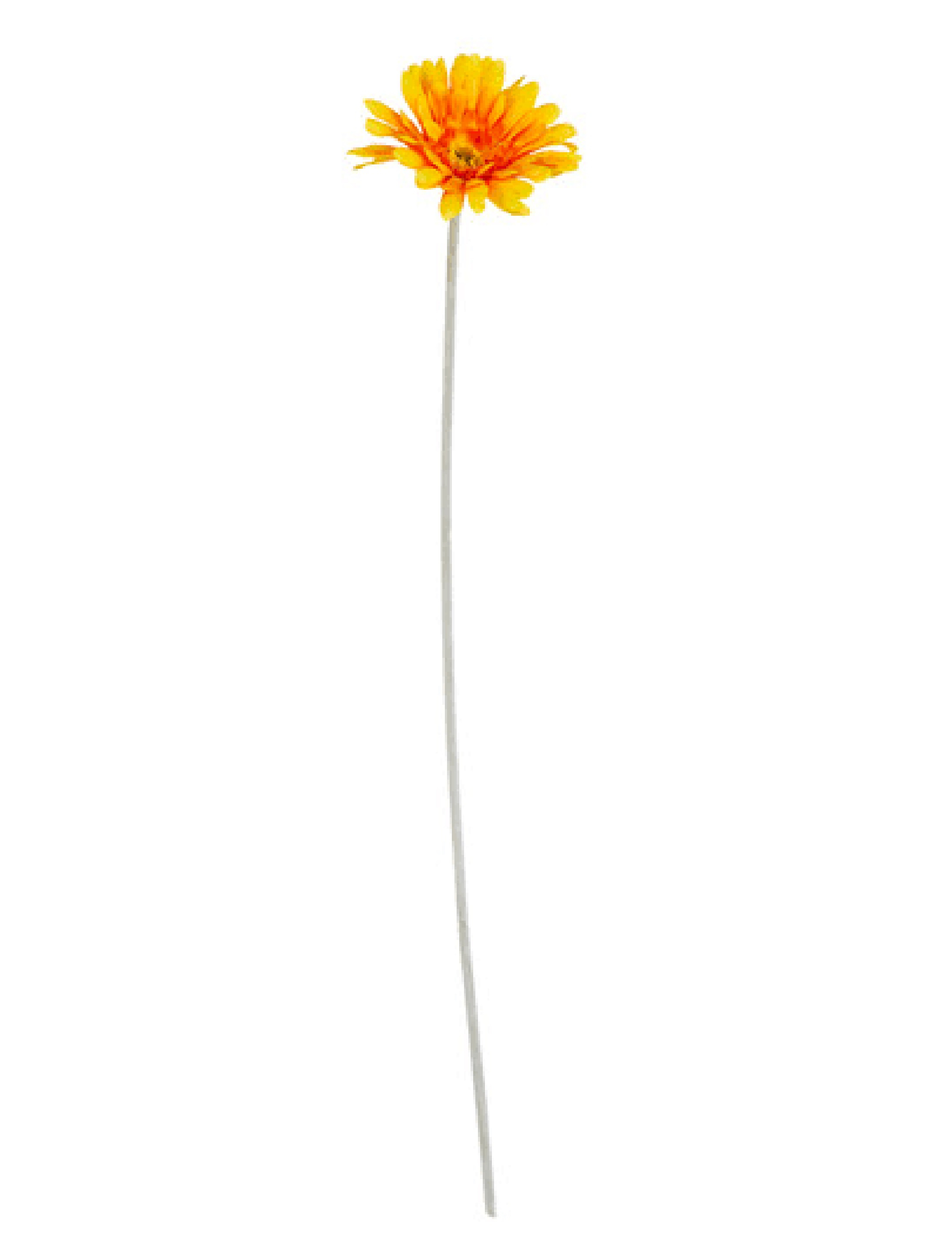 Gerbera 56 cm orange