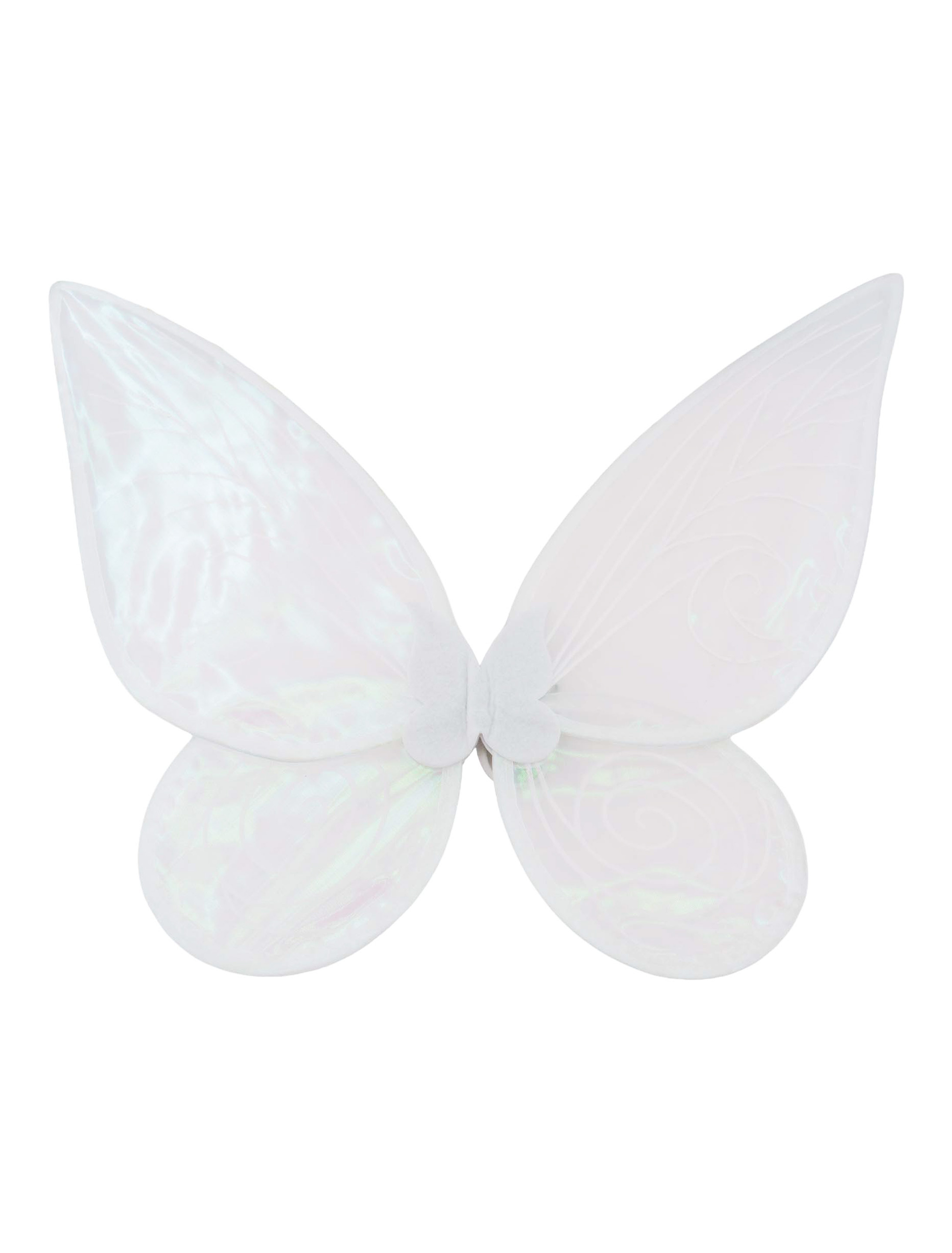 Flügel Schmetterling irisierend weiß