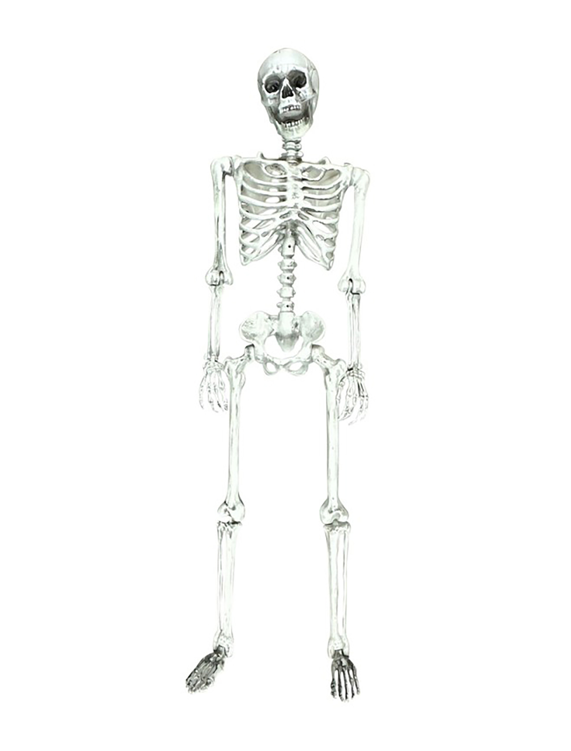 Skelett beweglich 155cm weiß