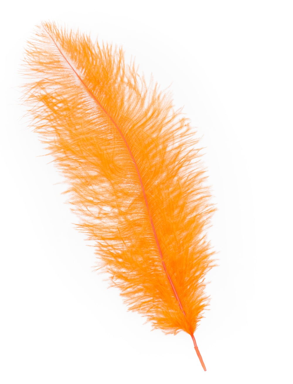 Feder Blondine 30-40cm orange