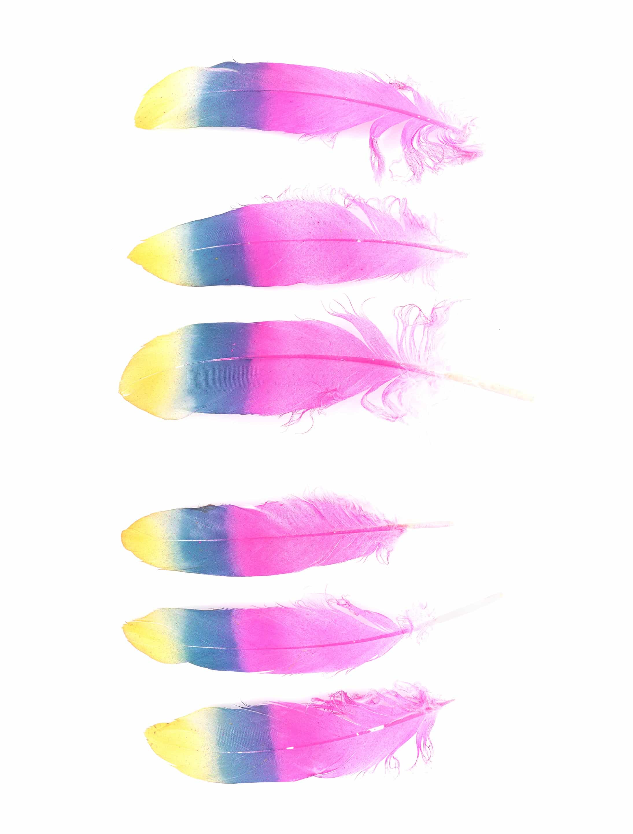 Indianerfeder pink/blau/gelb 3 Stk. Indianerfeder pink/blau/gelb 3 Stk.