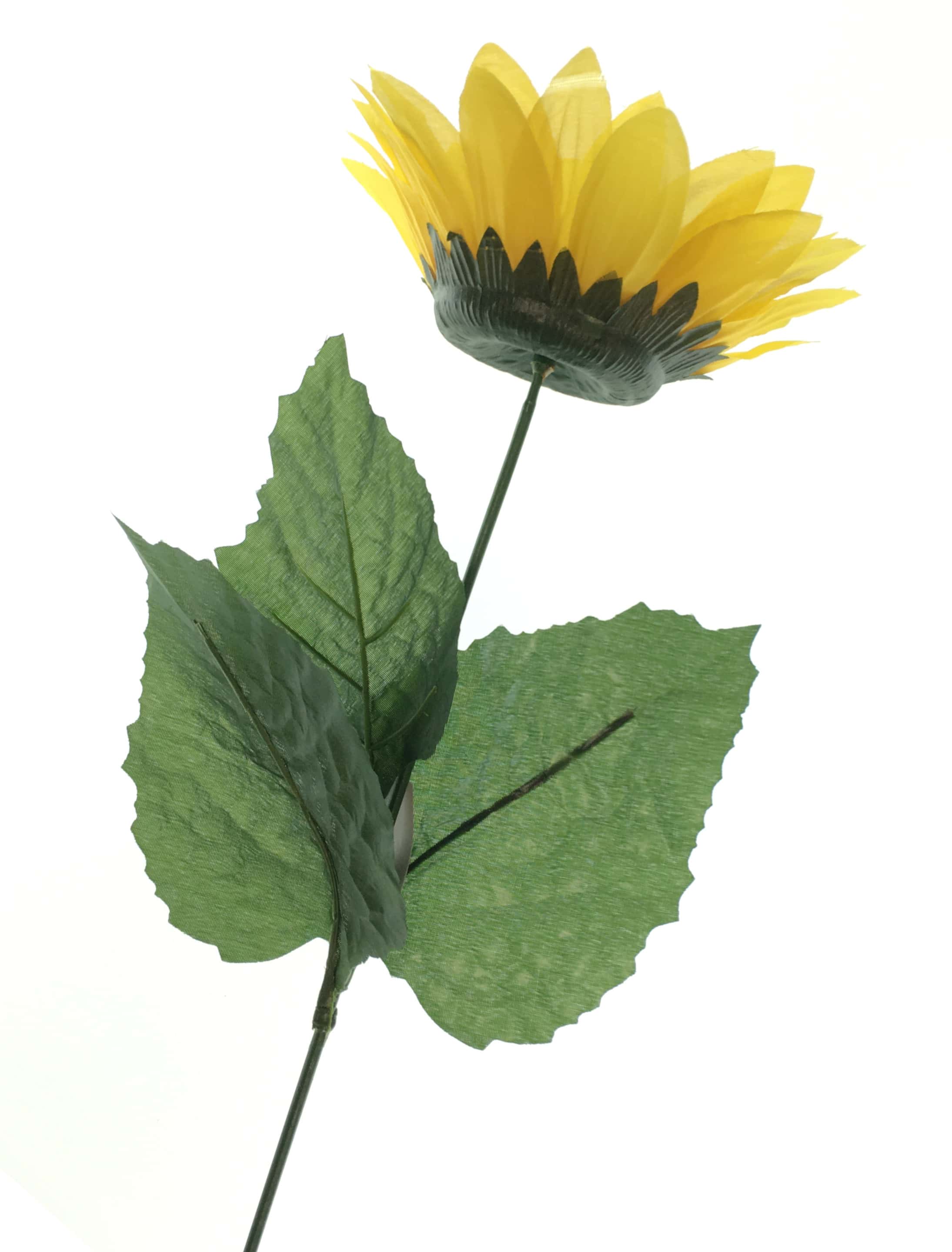 Sonnenblume mit 3 Blättern