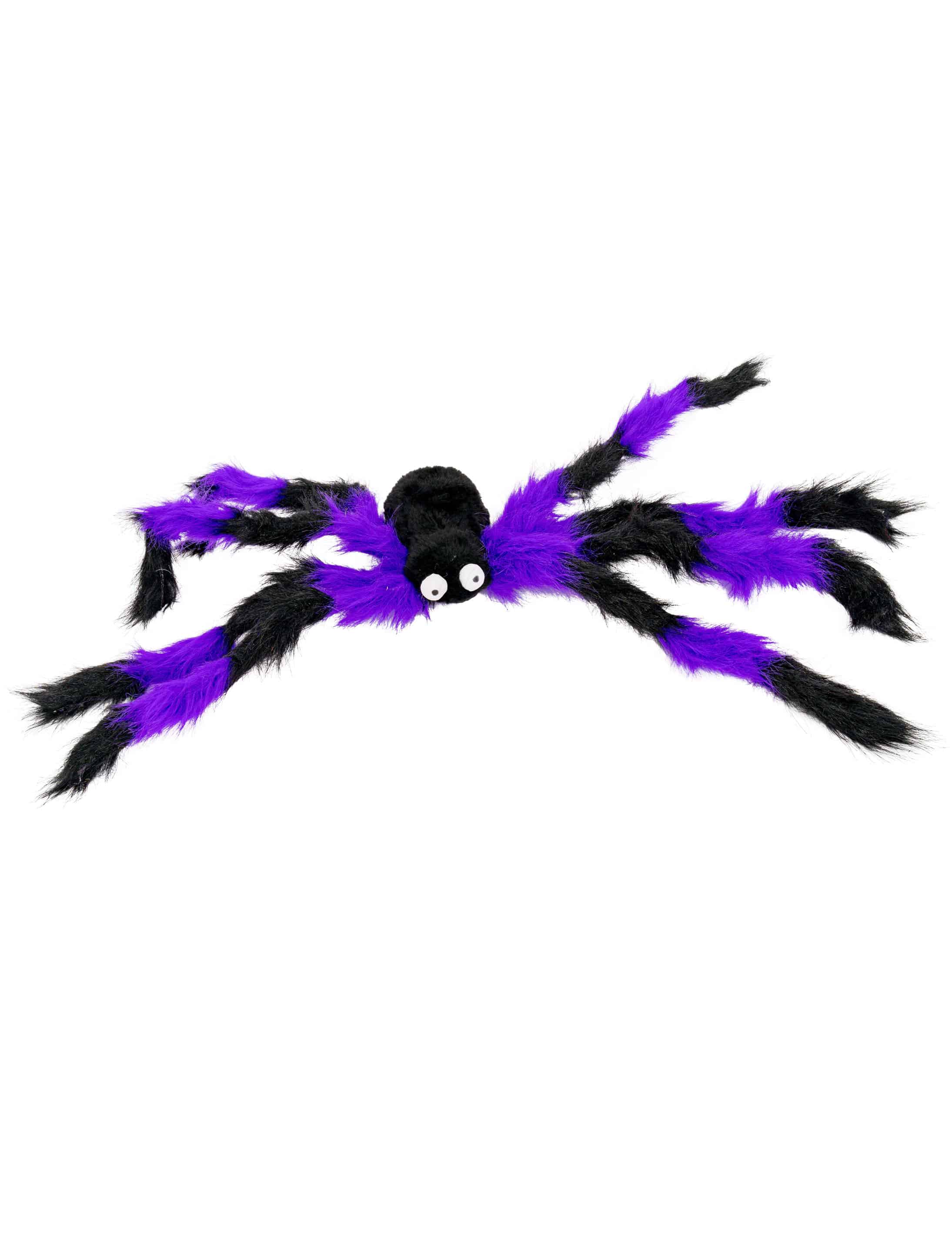 Spinne schwarz/lila