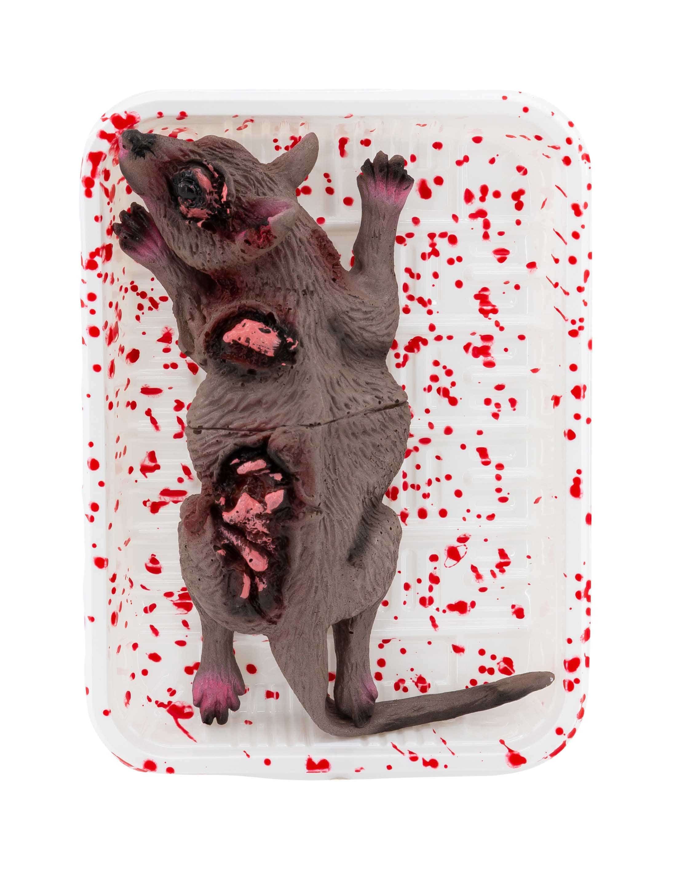 blutige Ratte
