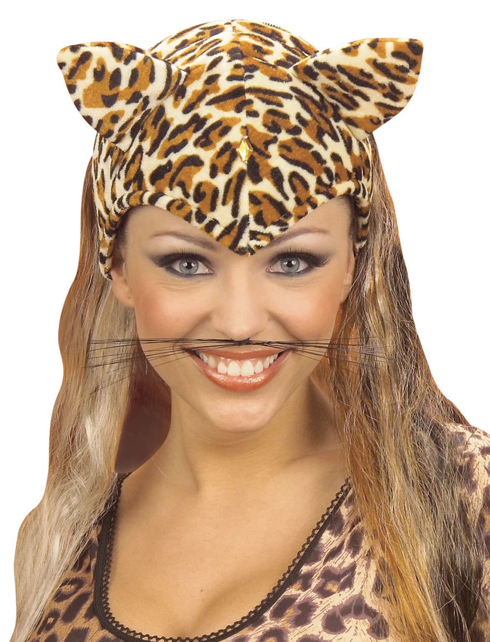Schnurrhaare Katzen