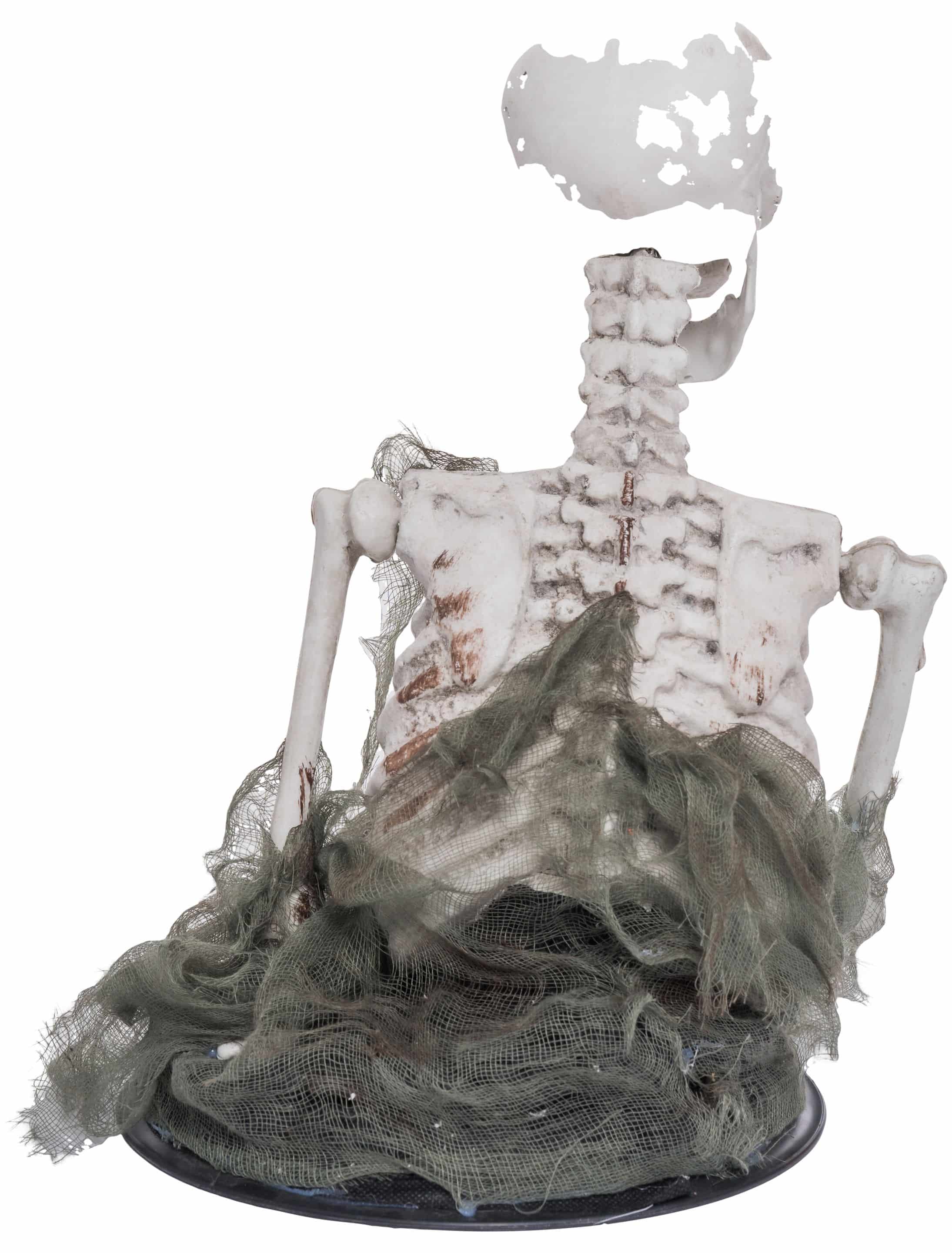 Skelett im Moos mit Funktion