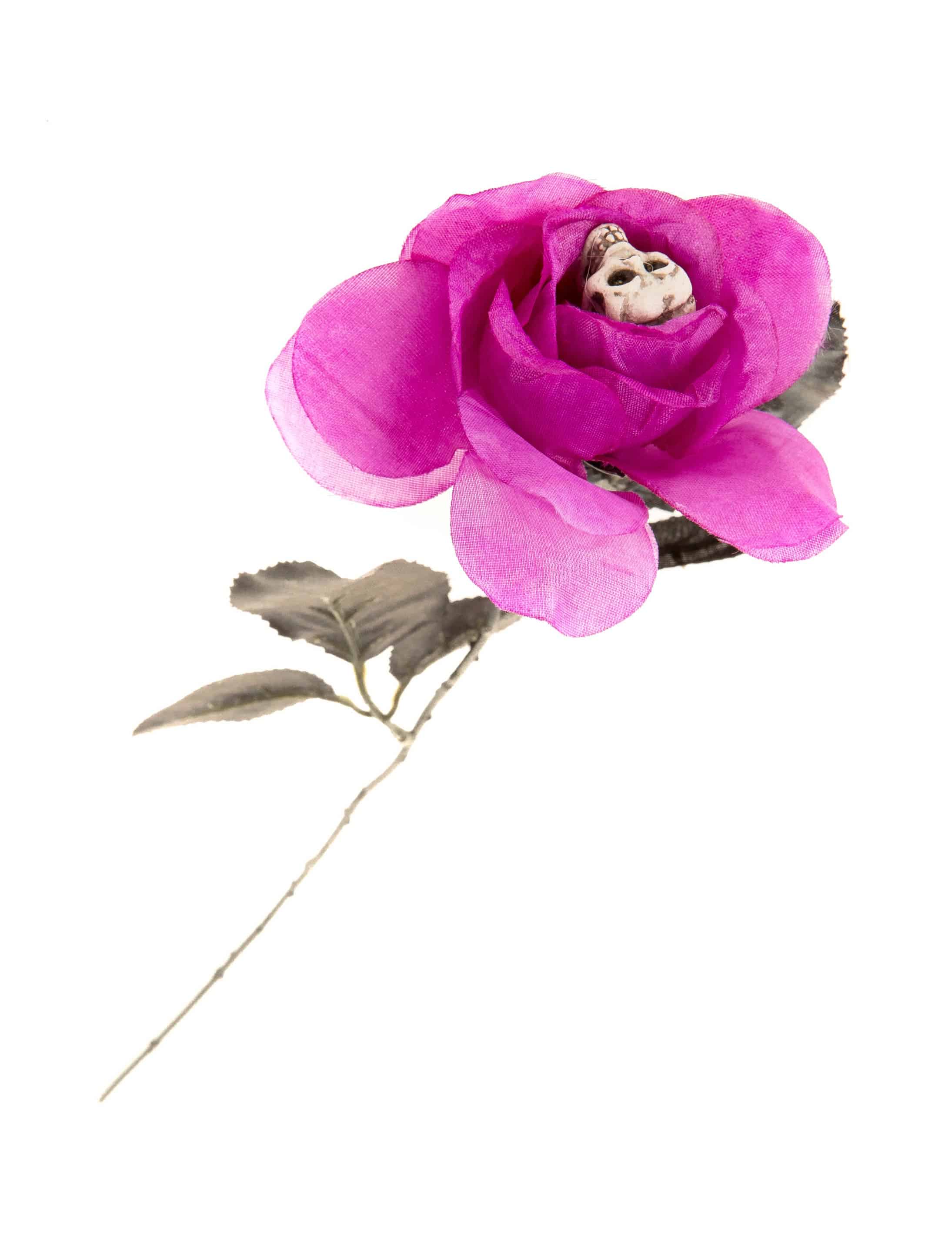 Rose mit Totenkopf pink