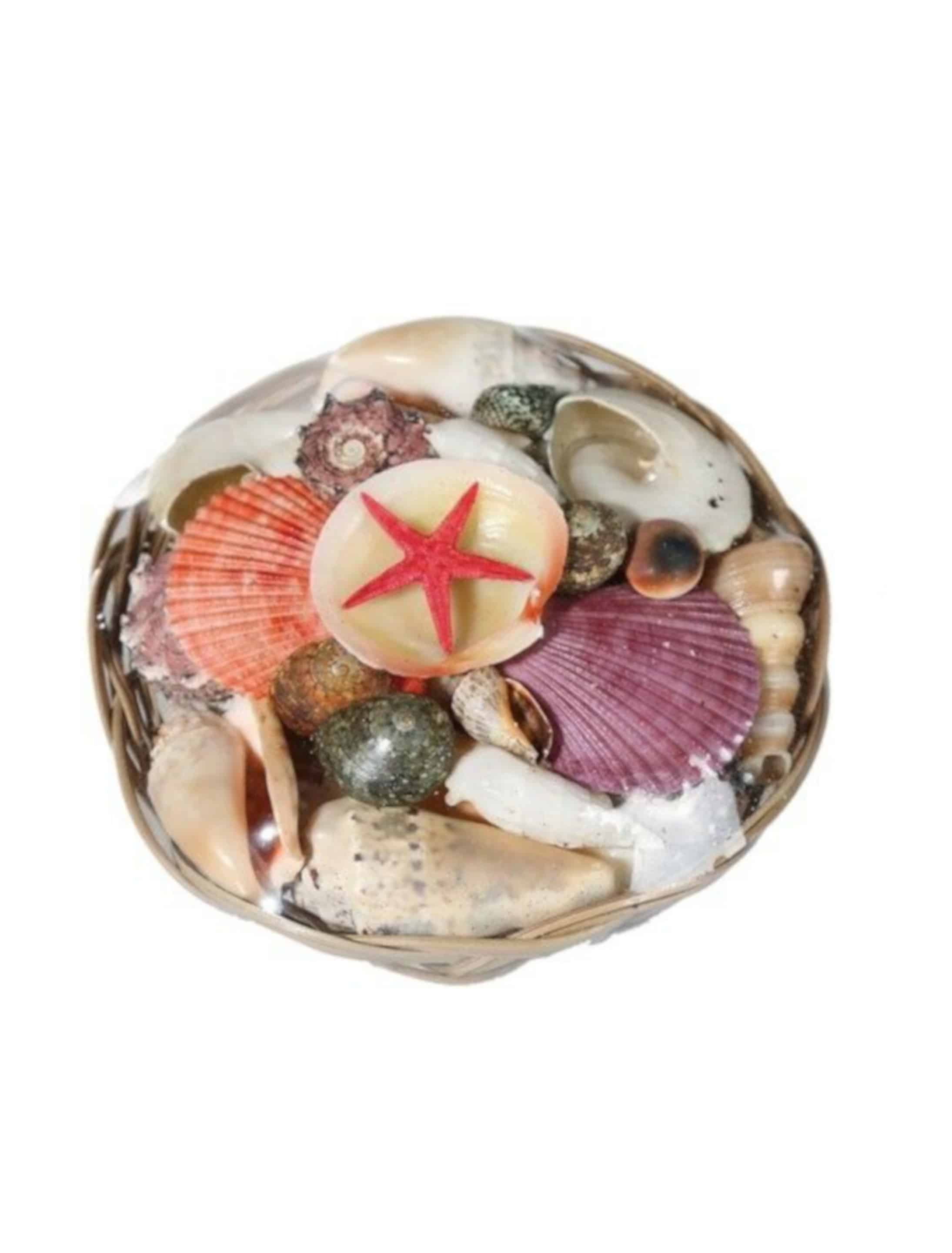 Muscheln mit Seestern im Korb