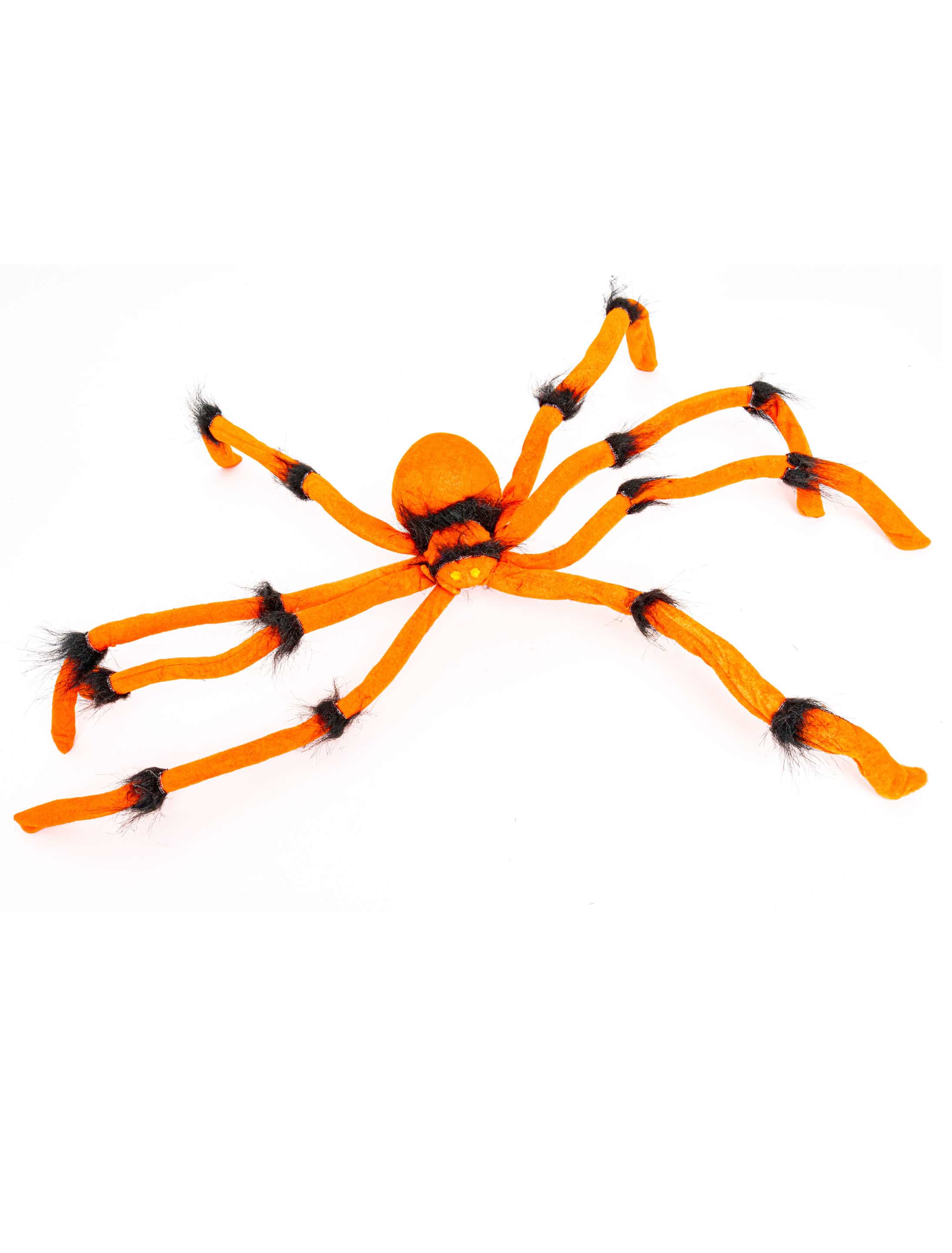 Spinne orange/schwarz