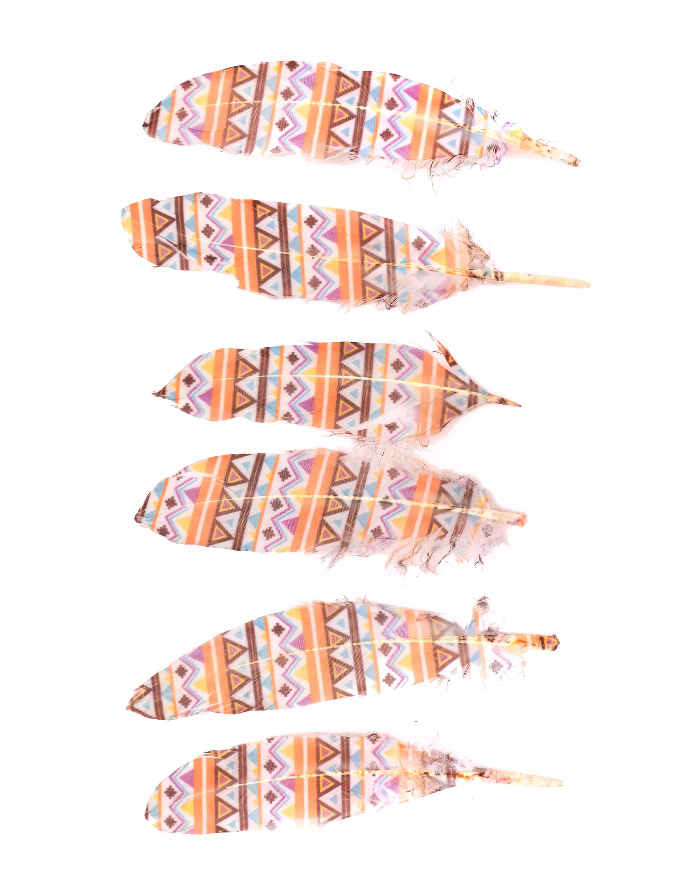 Indianerfeder pastell/bunt 3 Stk. Indianerfeder pastell/bunt 3 Stk.