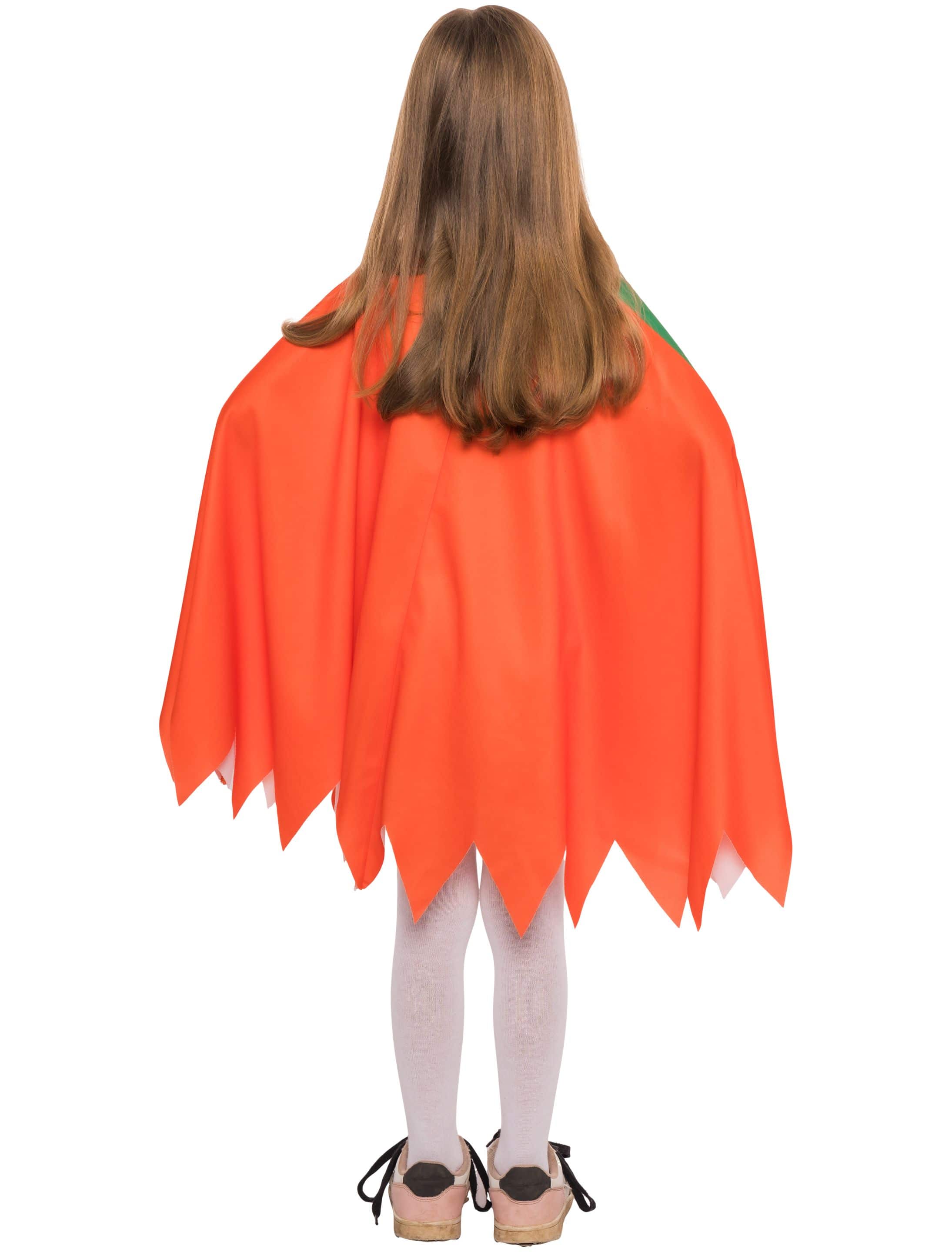 Cape lachender Kürbis orange/grün one size