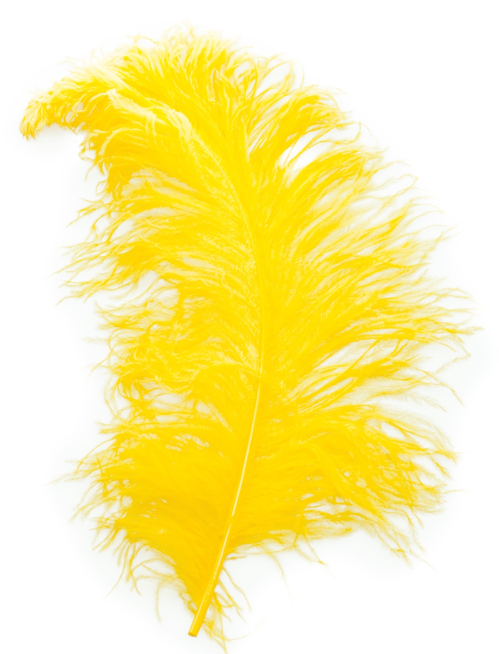 Straussenplatte 50-60cm gelb