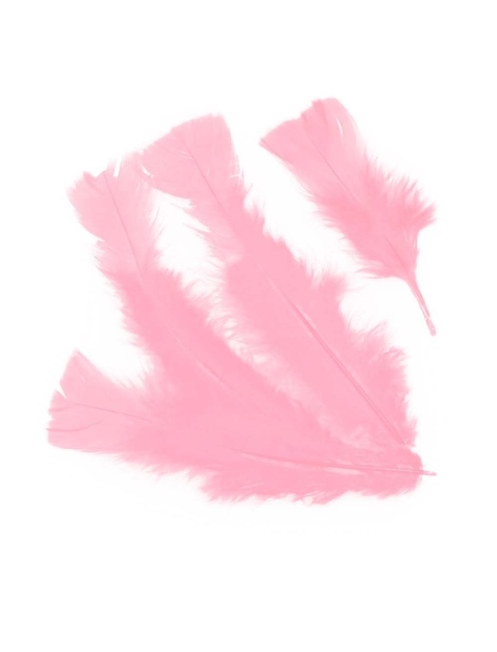 Federn 100er-Pack rosa