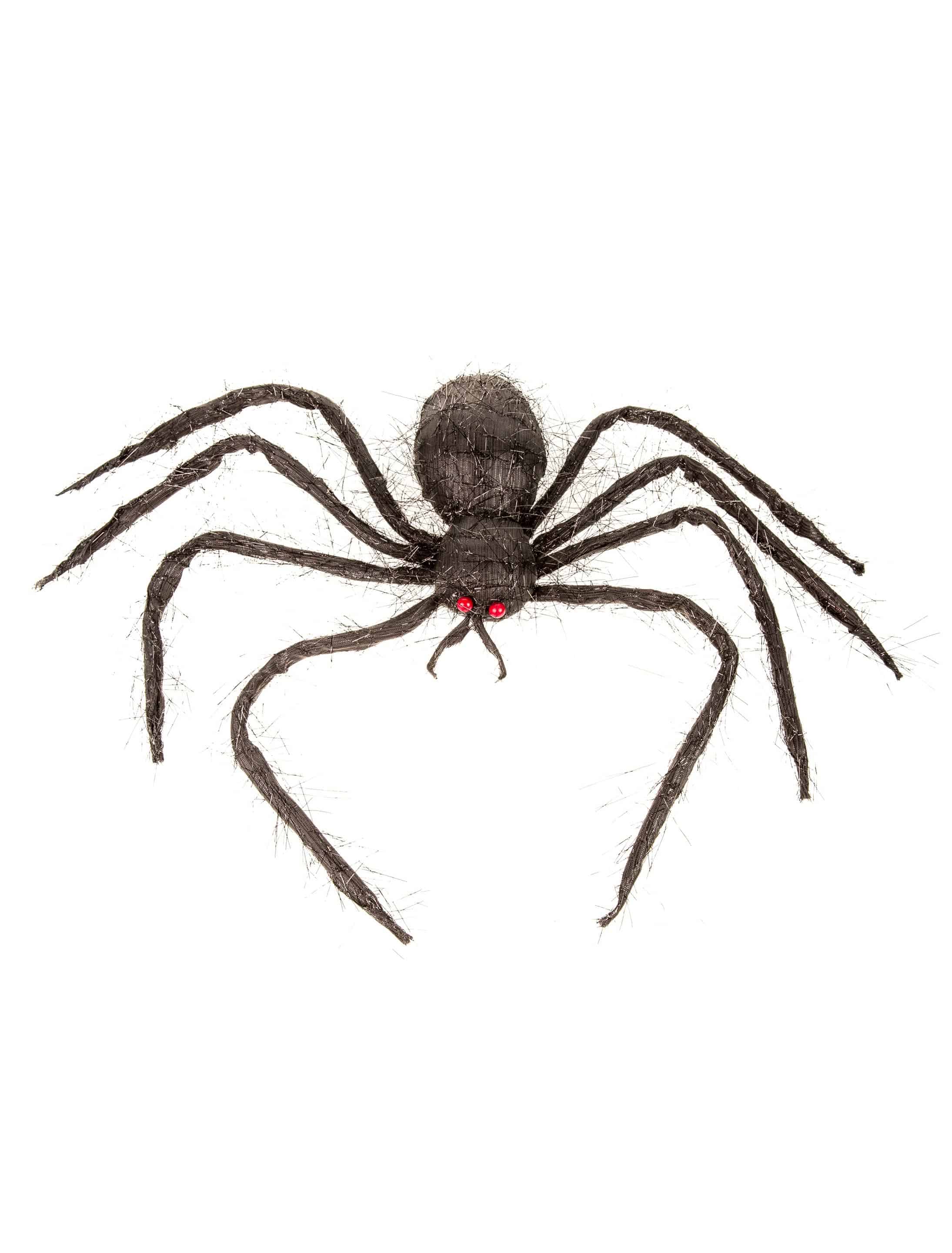 Spinne 50cm