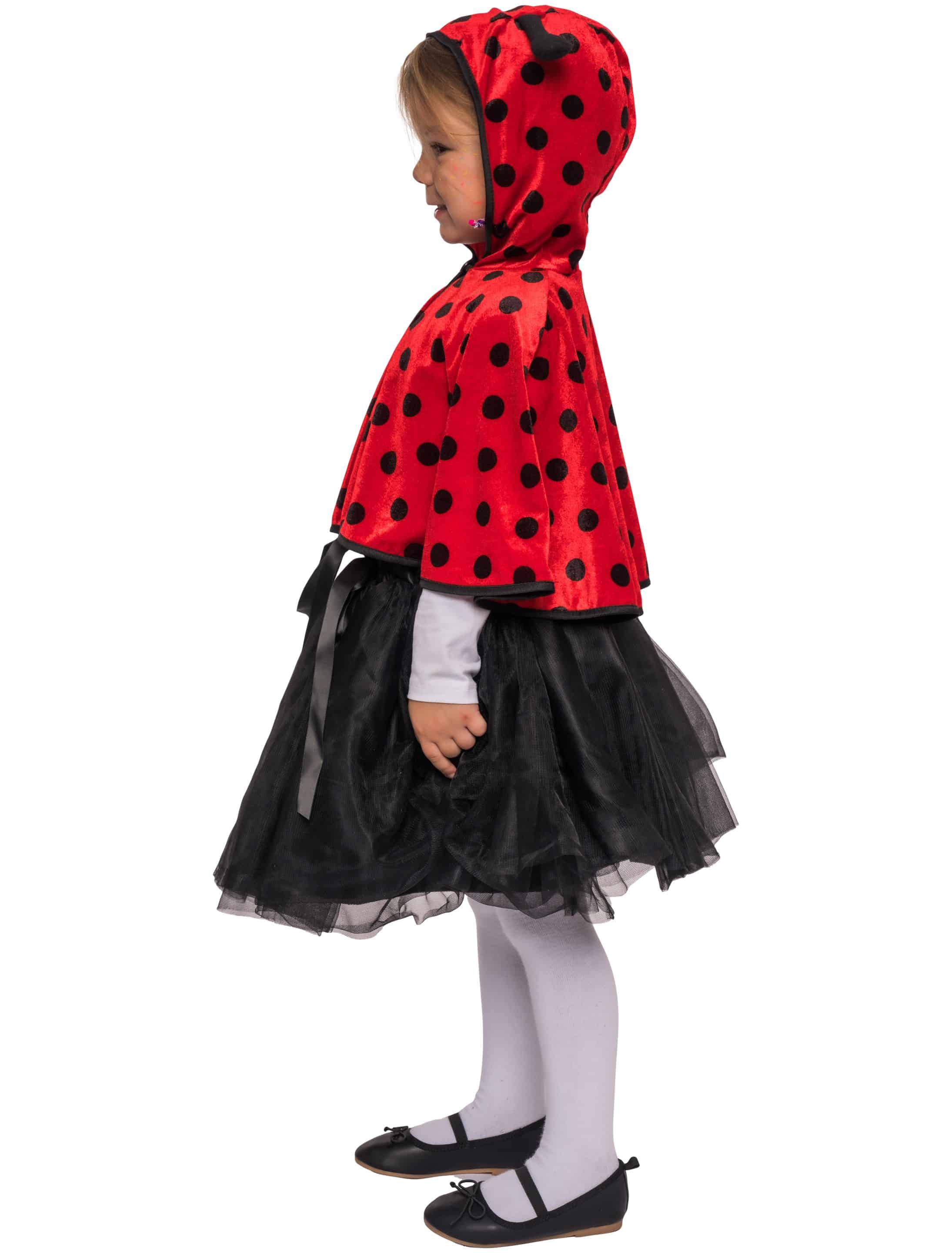 Cape Marienkäfer schwarz/rot 86-92 Cape Marienkäfer schwarz/rot 86-92