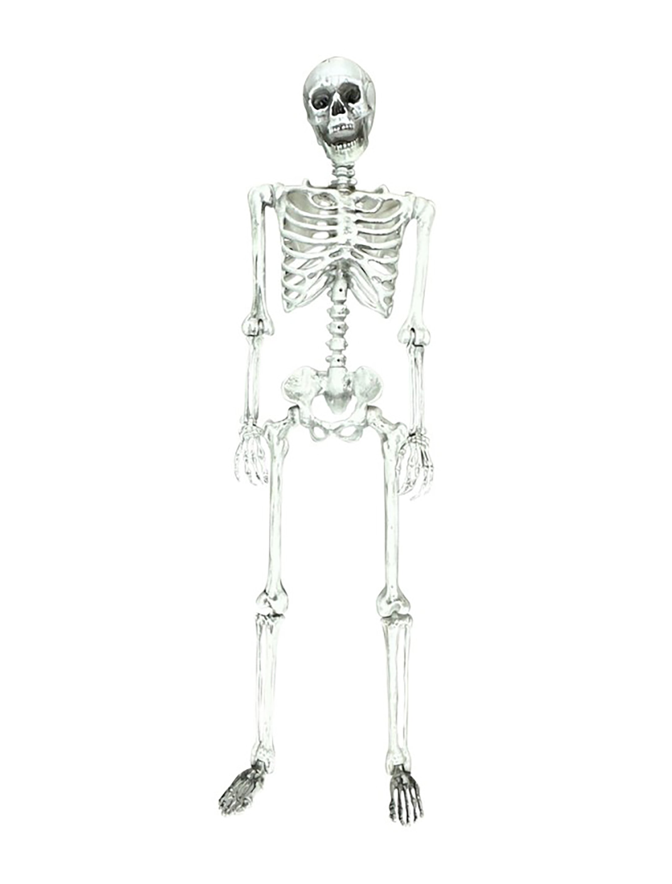 Skelett beweglich 155cm weiß