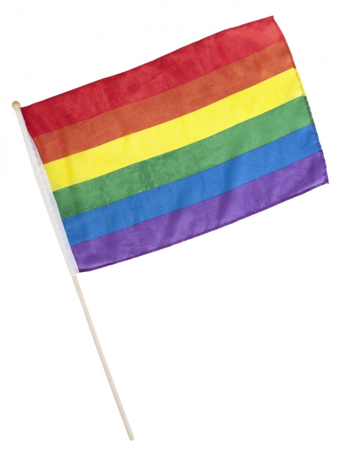 Flagge Regenbogen am Stab 45x30cm