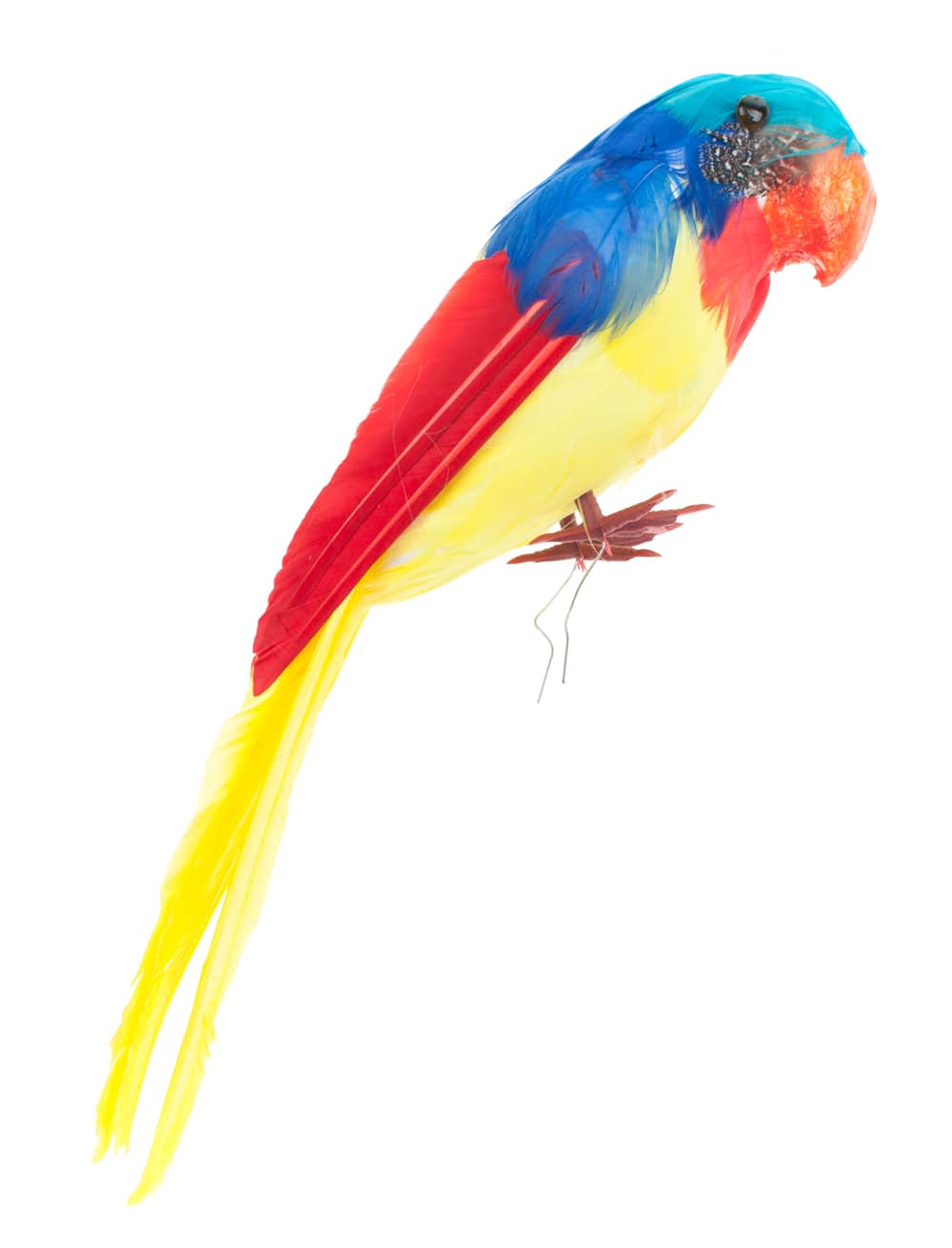 Papagei 31x12cm