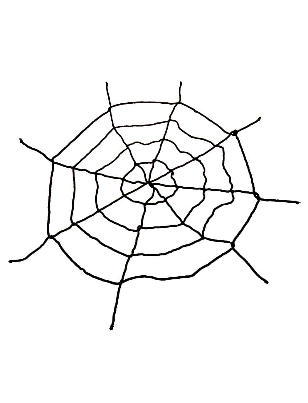 Spinnennetz schwarz 100cm