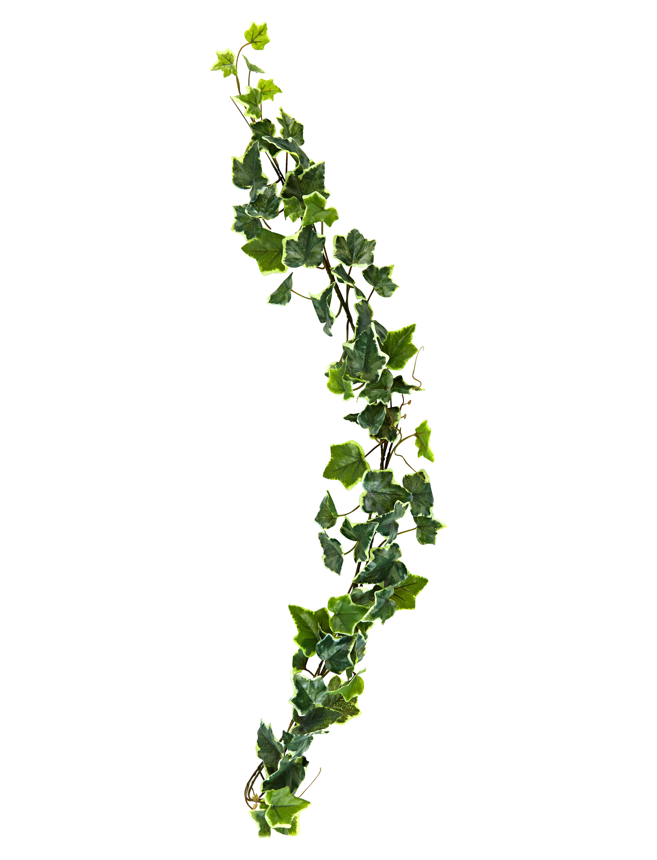 Blattgirlande Efeu 180cm grün/weiß Blattgirlande Efeu 180cm grün/weiß